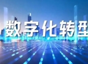 制造业数字化转型：重塑产业竞争新优势